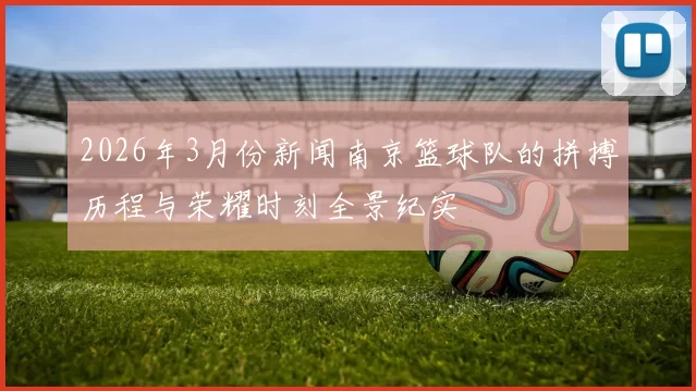 2026年3月份新闻南京篮球队的拼搏历程与荣耀时刻全景纪实